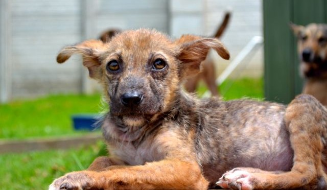 Rehabilitation: Before and After Photos