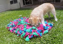 Ever heard of a Snuffle Mat?